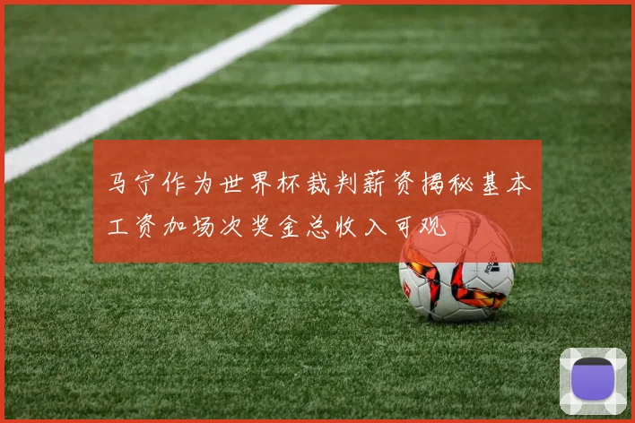 马宁作为世界杯裁判薪资揭秘基本工资加场次奖金总收入可观