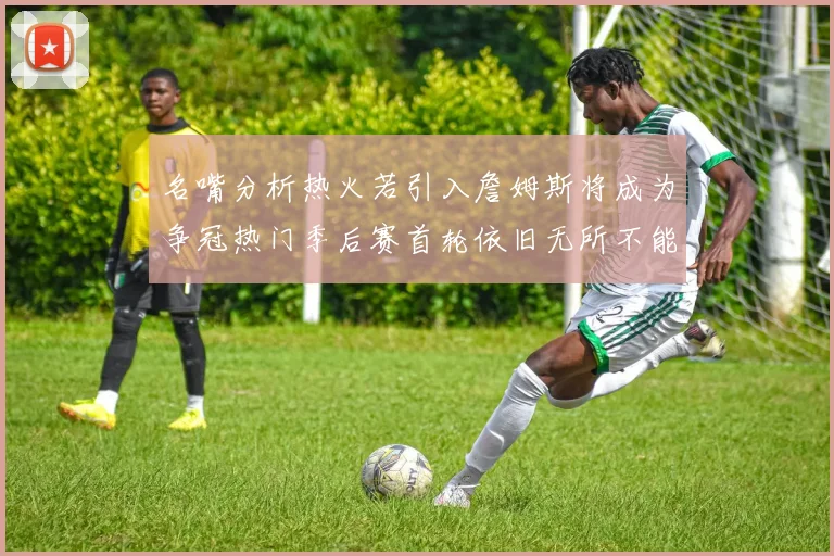 名嘴分析热火若引入詹姆斯将成为争冠热门季后赛首轮依旧无所不能